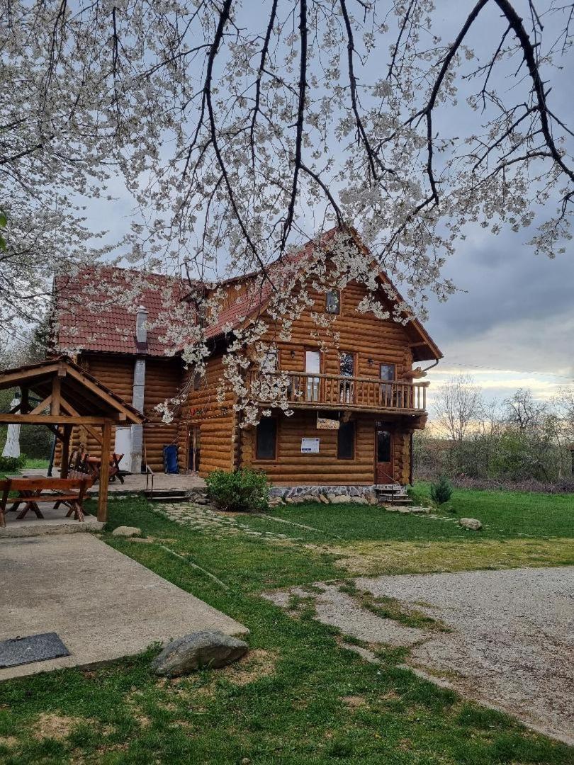Valea Vistisoarei Vila Vistisoara Exterior foto